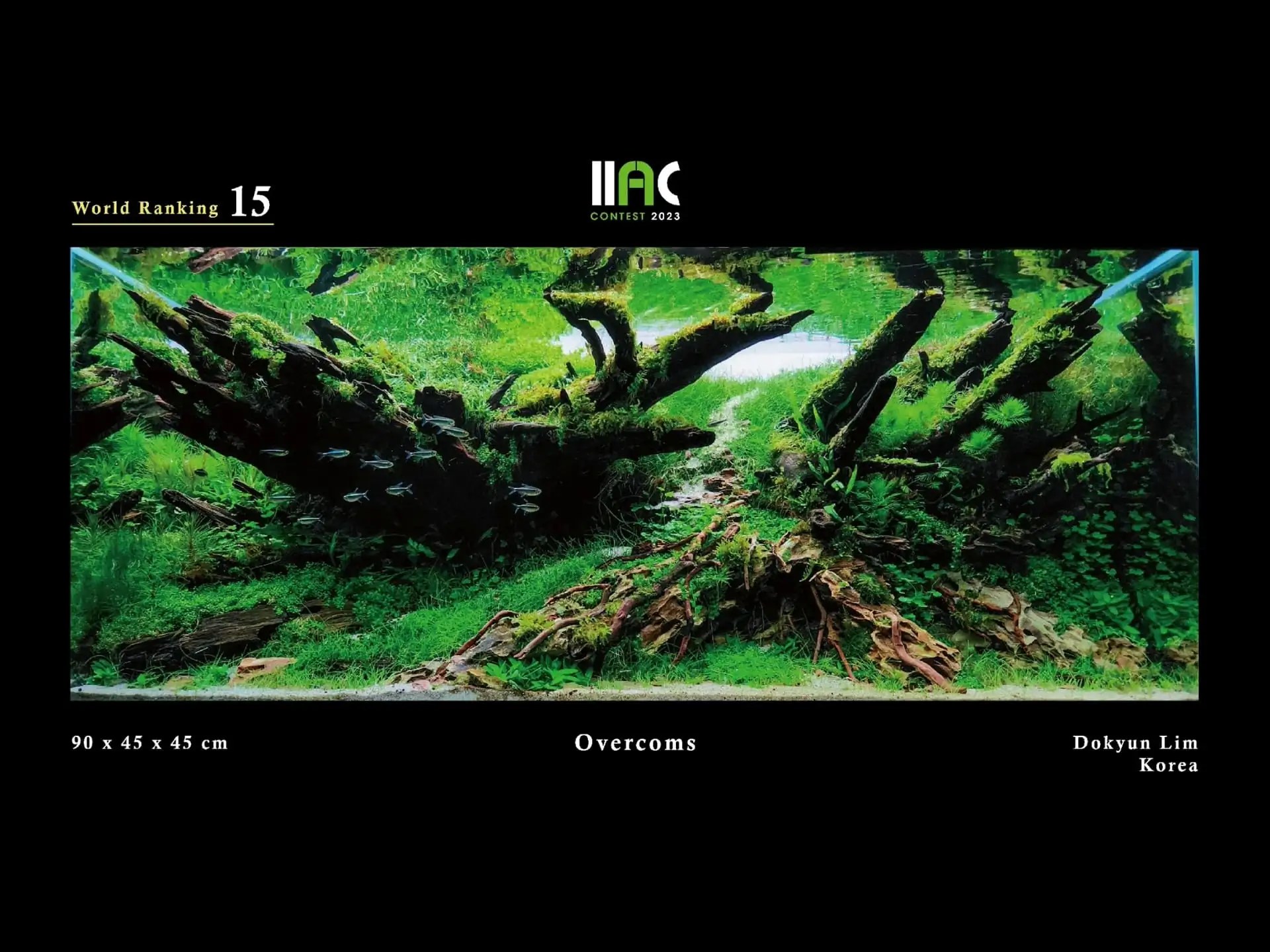 Overcomes - IIAC 2023 #15 Dokyun Lim / South Korea